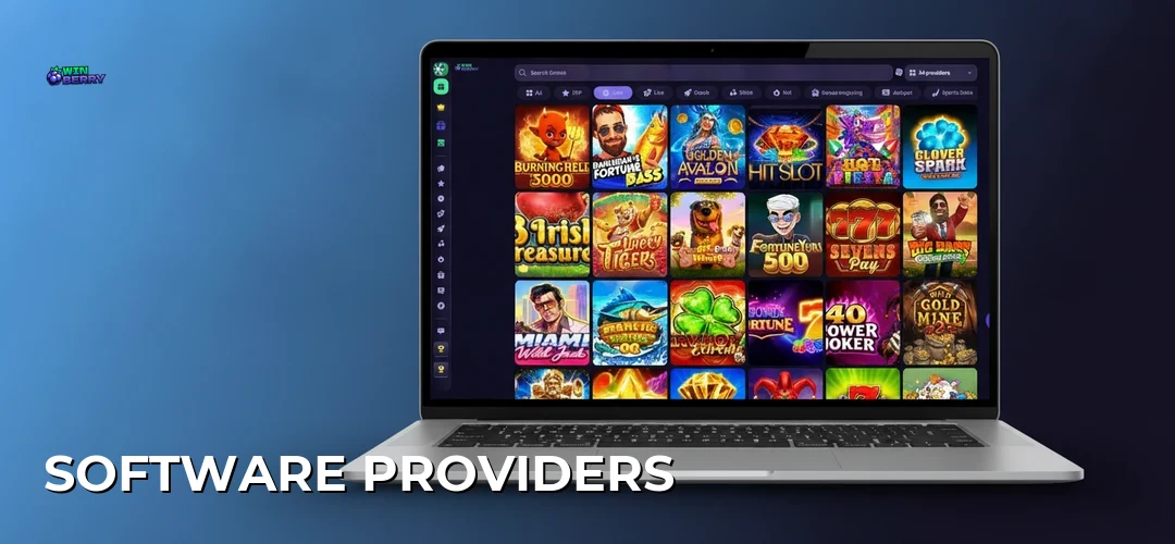 Software providers